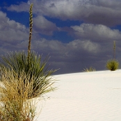 White Sands 06